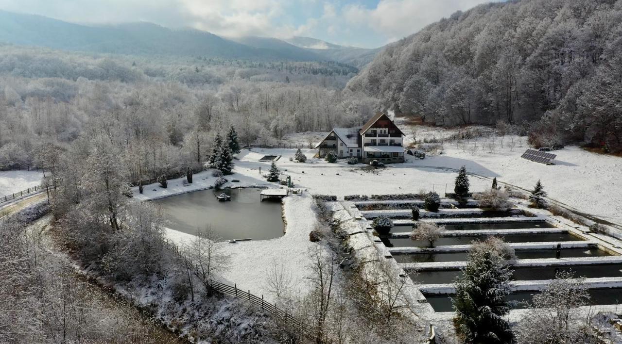 Valea Salbatica Hotel Sinca Noua Eksteriør billede