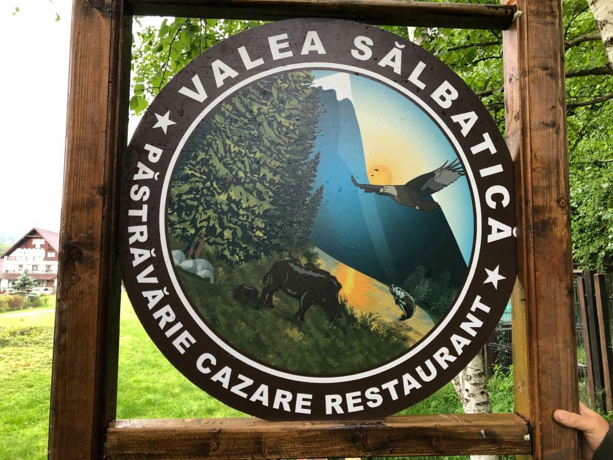 Valea Salbatica Hotel Sinca Noua Eksteriør billede