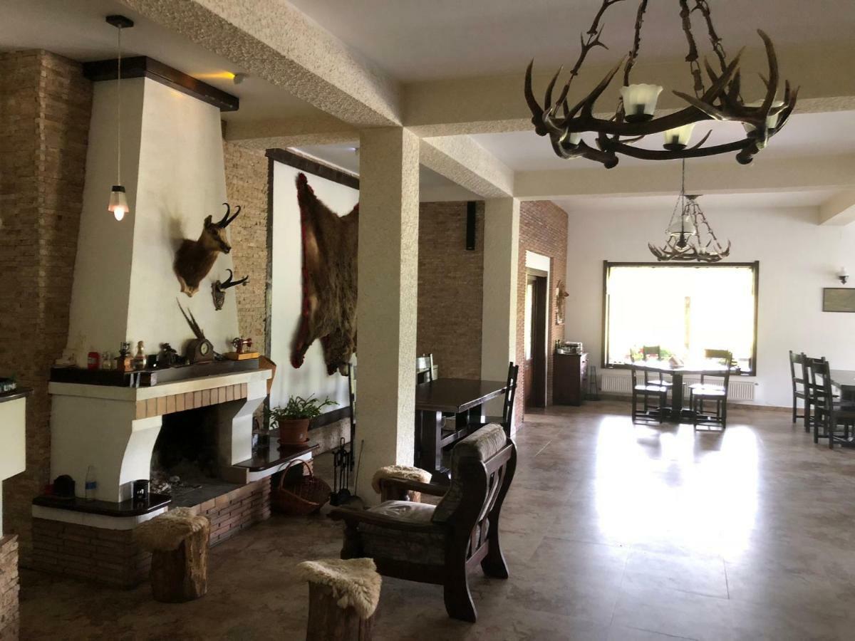Valea Salbatica Hotel Sinca Noua Eksteriør billede